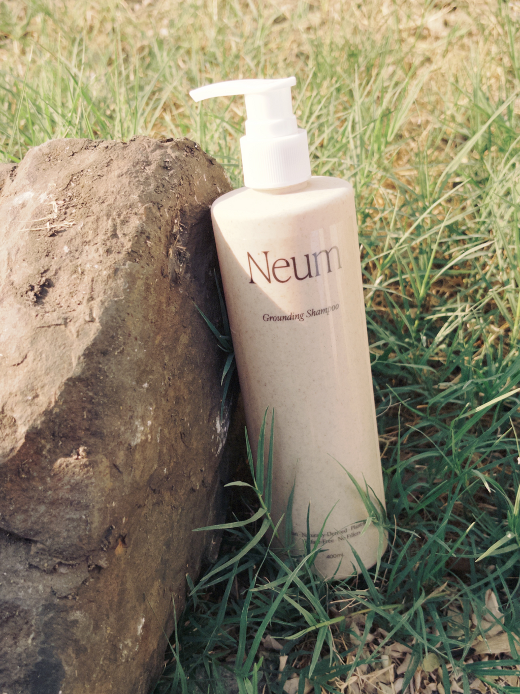 Grounding Shampoo