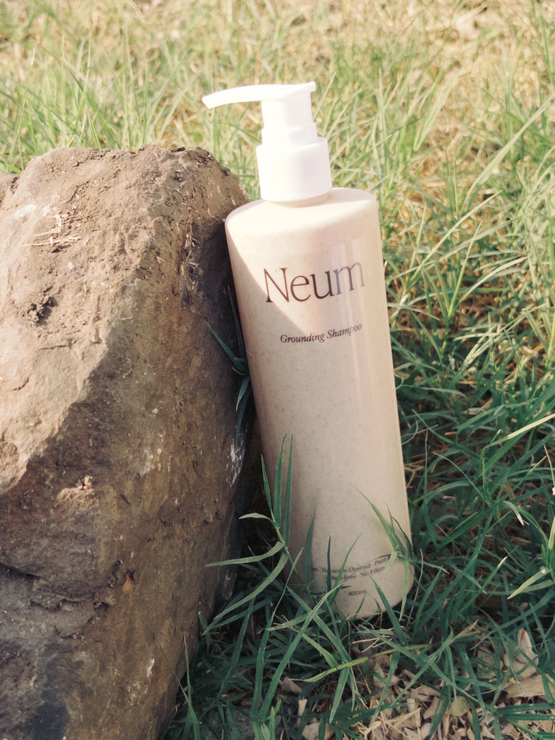 Grounding Shampoo