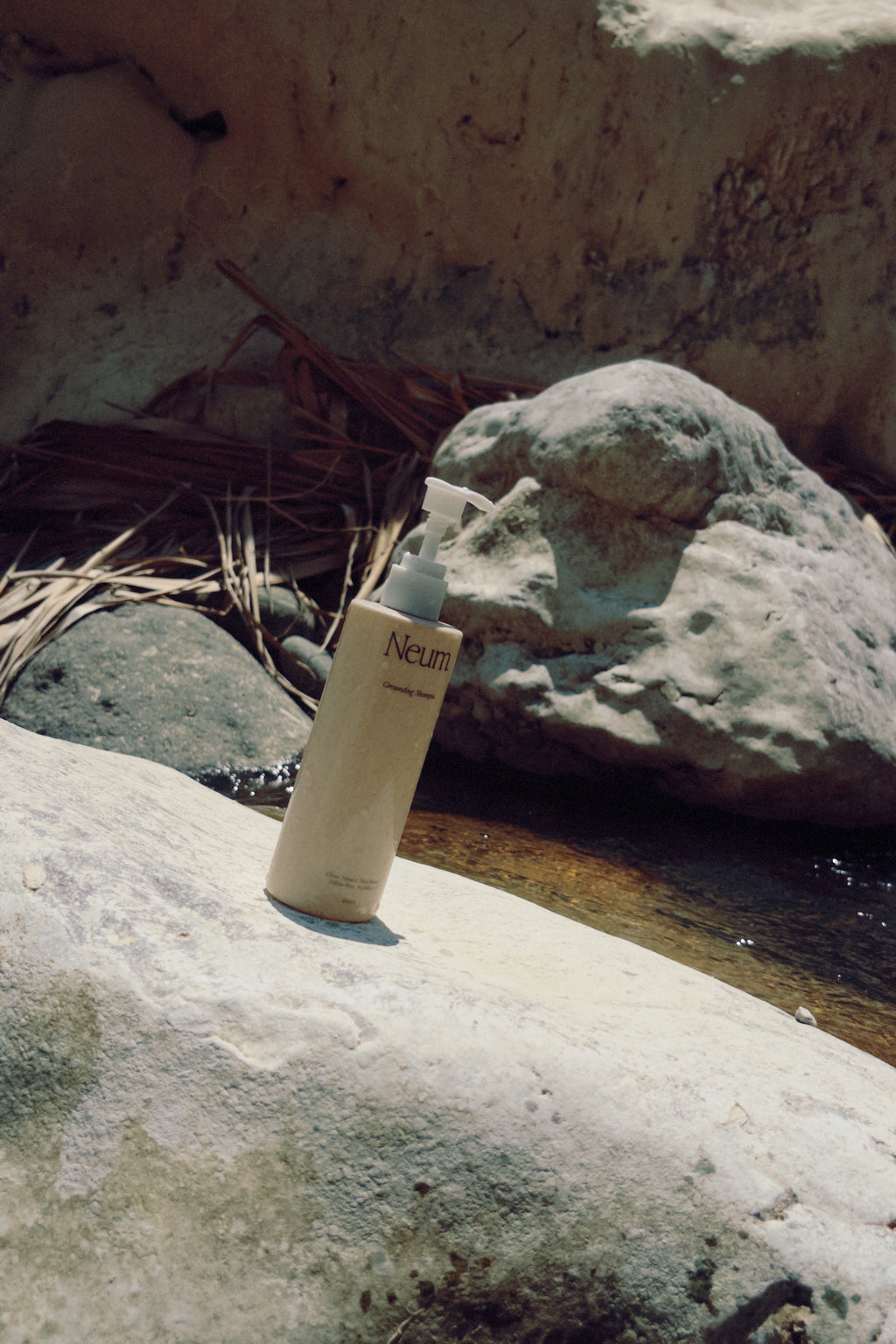 Grounding Shampoo