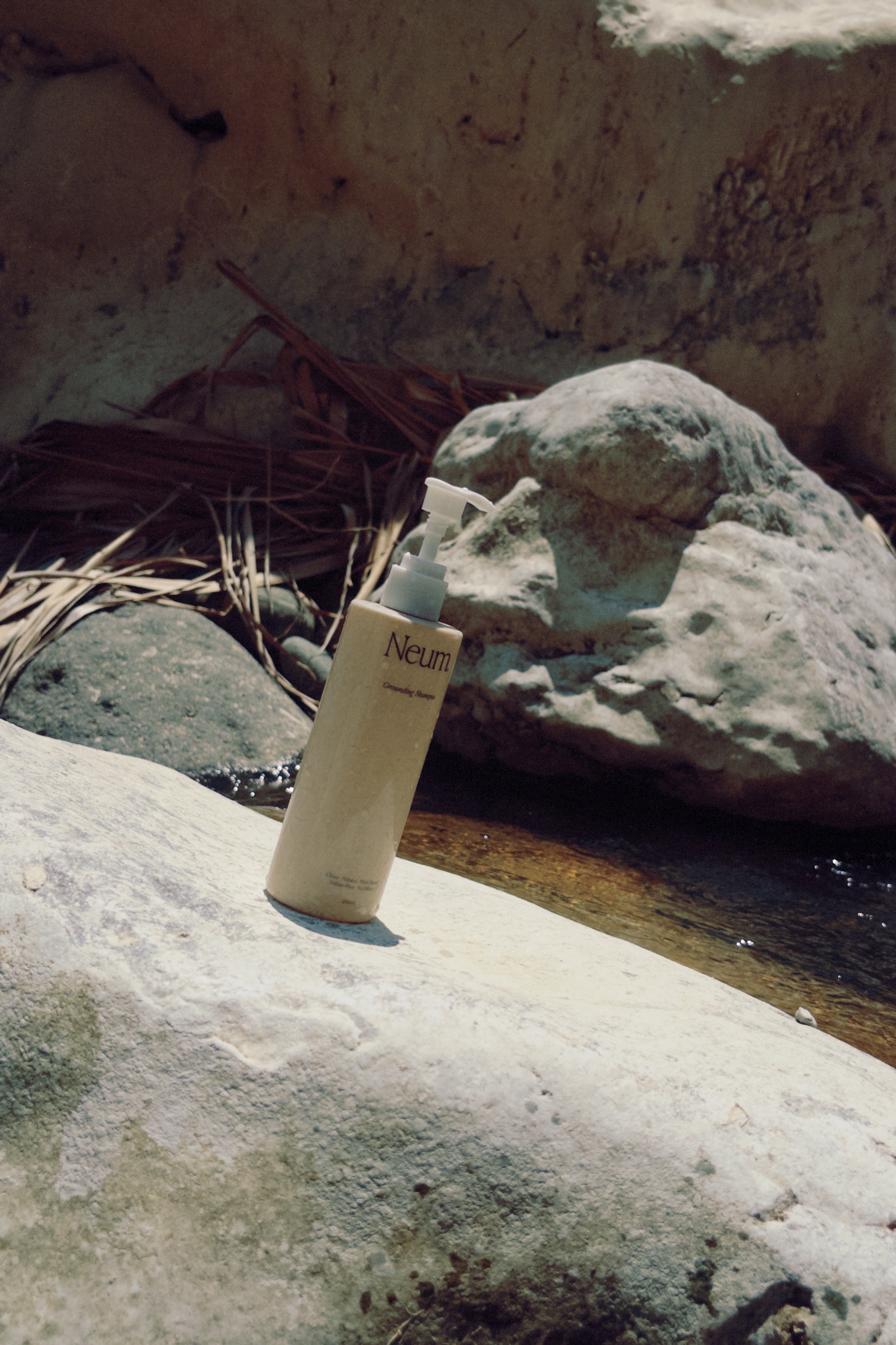 Grounding Shampoo